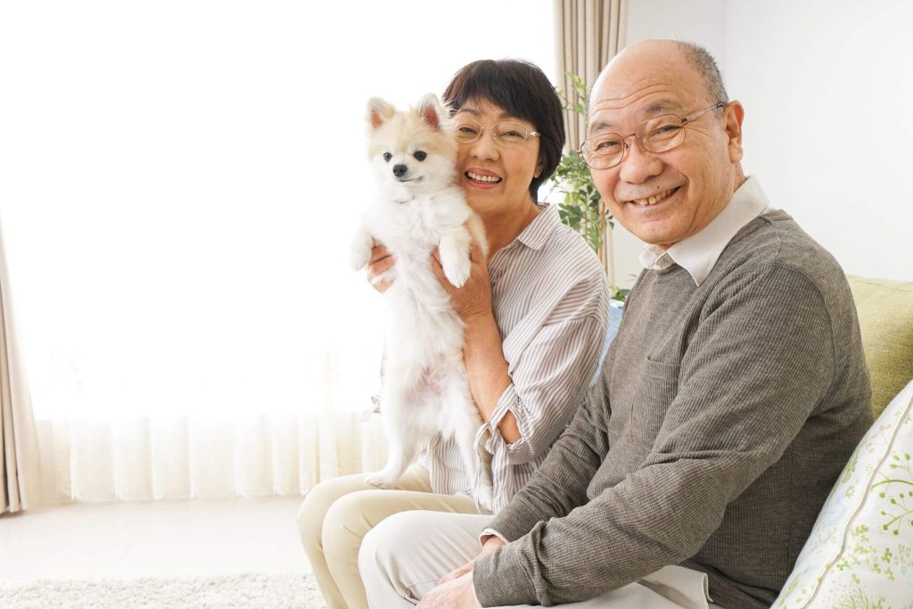 A couple sits on a couch and smile with thier small dog